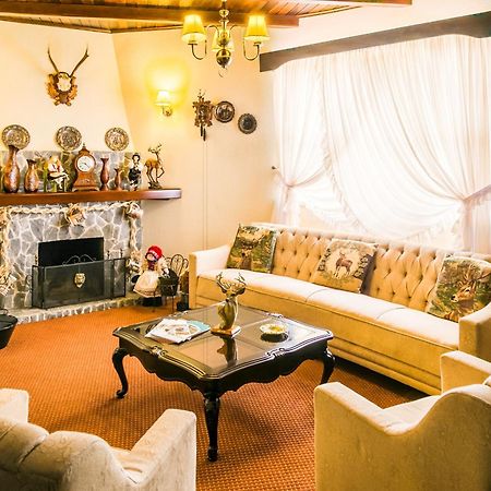 Hotel Stelter São Bento do Sul エクステリア 写真