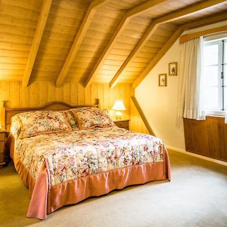 Hotel Stelter São Bento do Sul エクステリア 写真